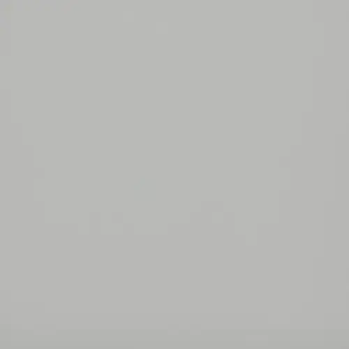 МДФ панель Evosoft Горный Хрусталь EVS004 (18х2800х1220) матовый (Kastamonu)