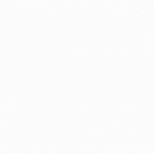 Мебельный пластик Fenix 0032 NTM BLOOM Bianсo Kos (3050*1300*0,9 мм) 