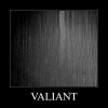 TSS DEKTA NATURAL VALIANT D.500 Opex Солето 2800*2070*18 мм
